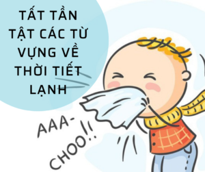 Read more about the article TẤT TẦN TẬT TỪ VỰNG CHỦ ĐỀ LẠNH